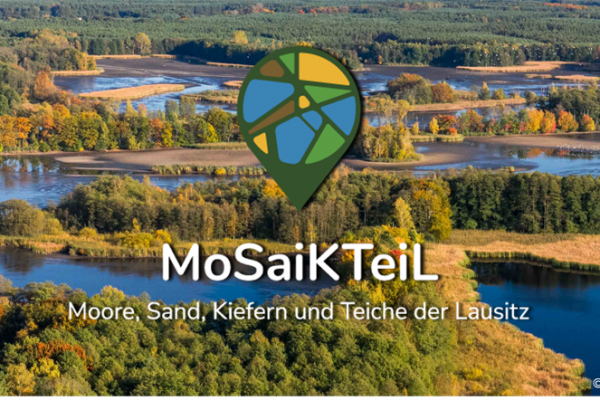 Teich mit Mosaikteil Logo